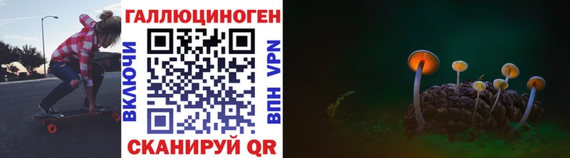 Галлюциногенные грибы Psilocybe  Нарткала 