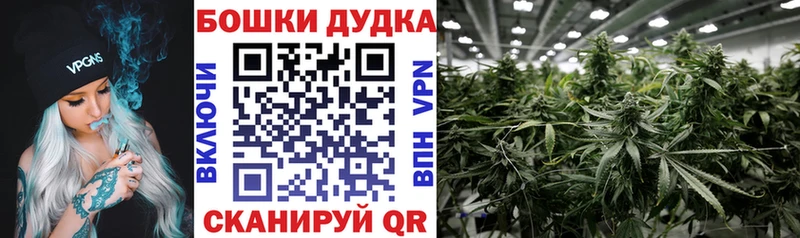 дарнет шоп Нарткала Бошки марихуана THC 21%